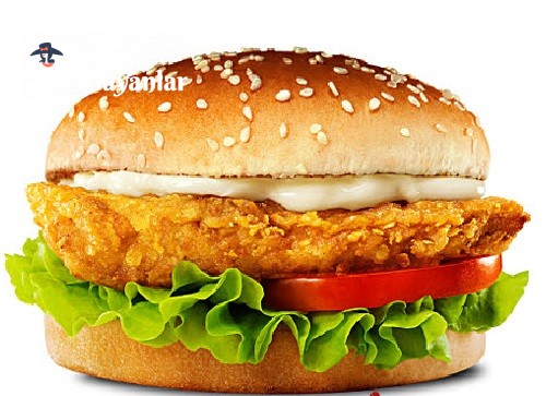 HAMBURGER TAVUK